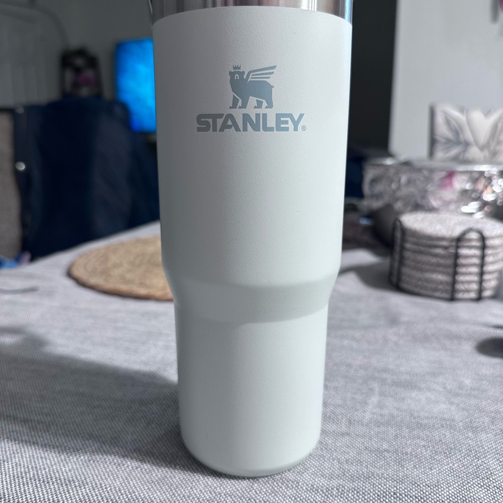 Stanley 30 oz classic flip straw tumbler color MIST